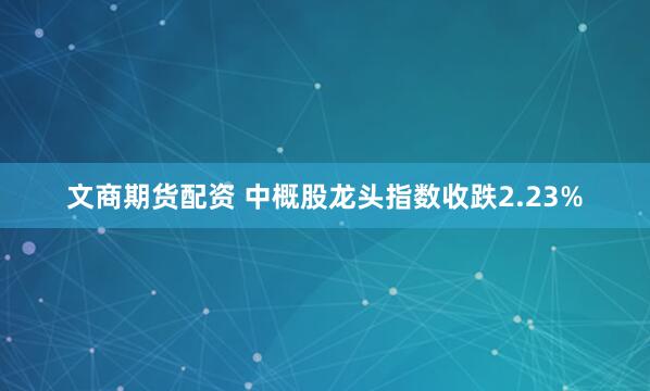 文商期货配资 中概股龙头指数收跌2.23%