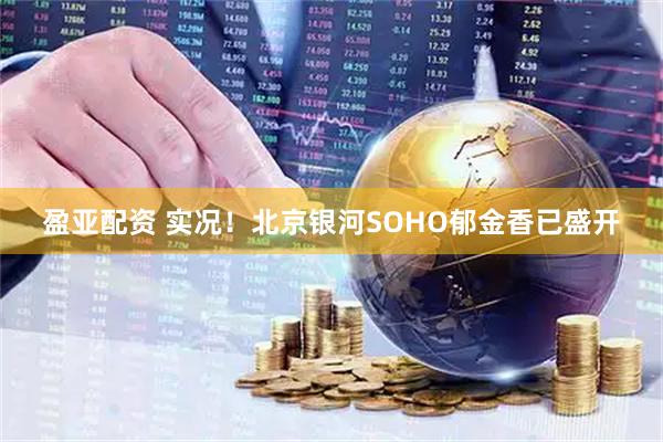 盈亚配资 实况！北京银河SOHO郁金香已盛开