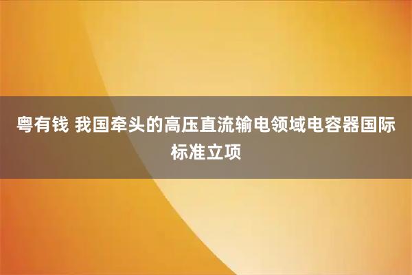 粤有钱 我国牵头的高压直流输电领域电容器国际标准立项